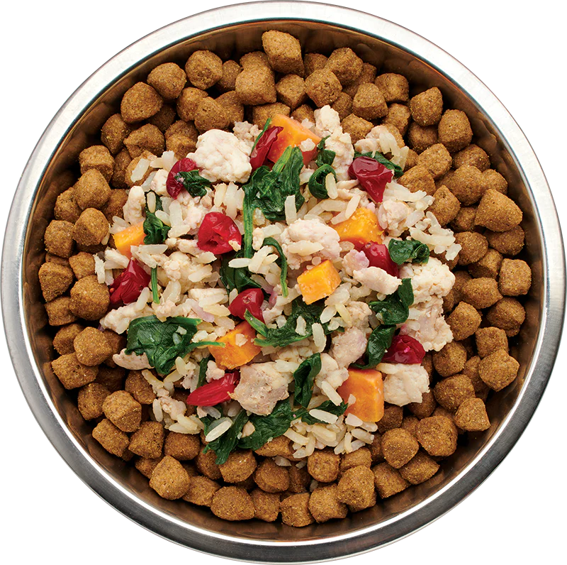 DOG FOOD