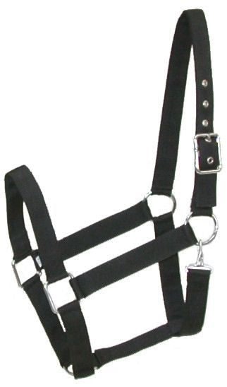 State Line Tack