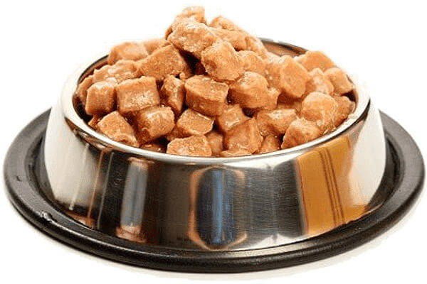 Dog Food Canned
