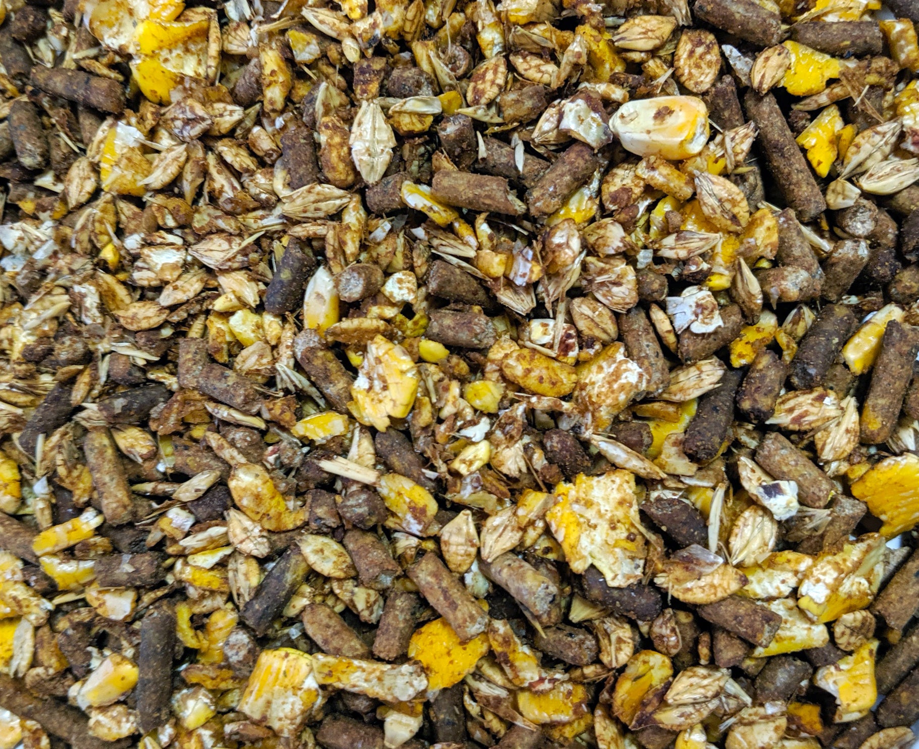 BAR-ALE BEEF GROWER 14%