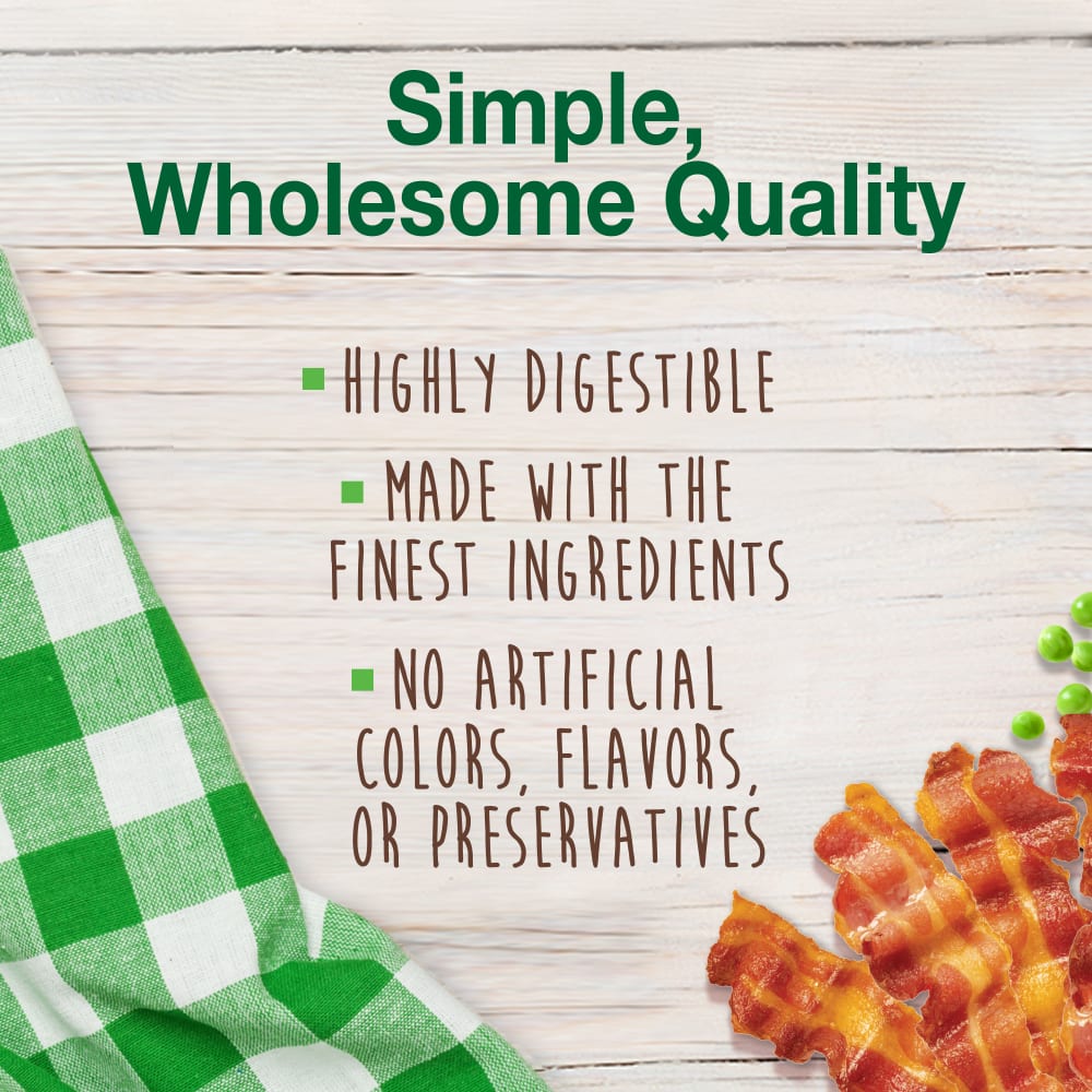 Nylabone Healthy Edibles All-Natural Long Lasting Dog Chews Bacon Flavored 3pk Regular