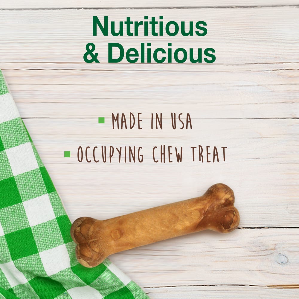 Nylabone Healthy Edibles All-Natural Long Lasting Dog Chews Bacon Flavored 3pk Regular