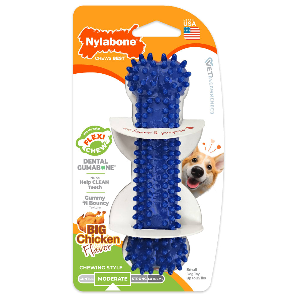 Nylabone Flexi Chew Gumabone Textured Dental Chicken Flavored Dog Chew Regular
