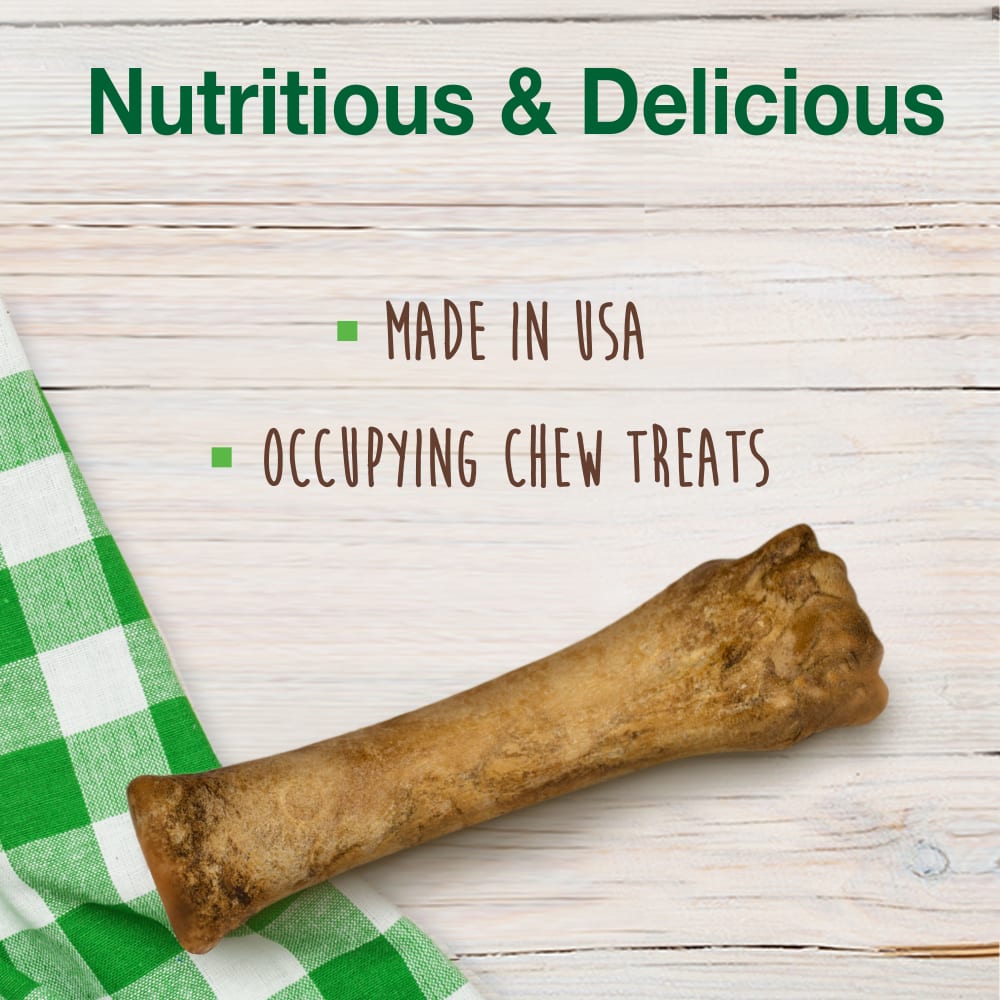 Nylabone Healthy Edibles All-Natural Chicken Flavored Dog Chew Souper