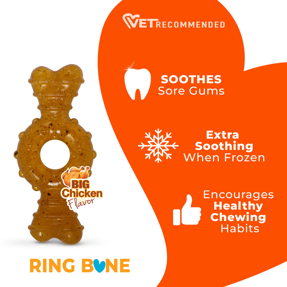 Nylabone Puppy Chew Teething Ring Bone XS