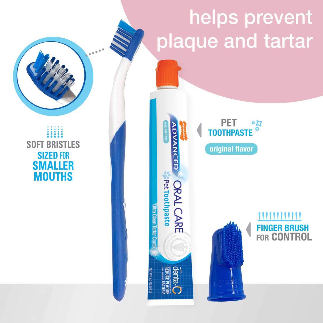 Nylabone Puppy Dental Kit