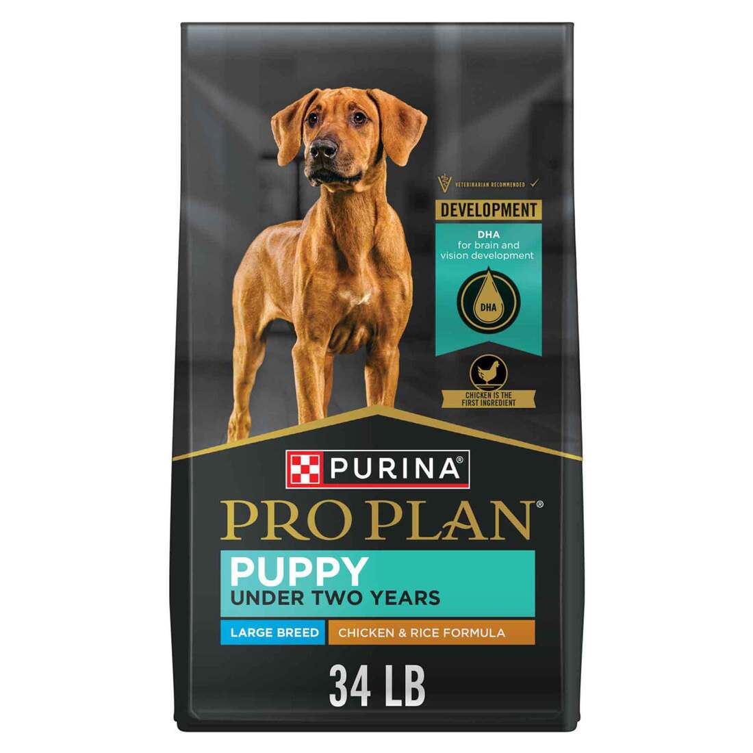 PRO PLAN K9 PUPPY LRG BRD 34LB