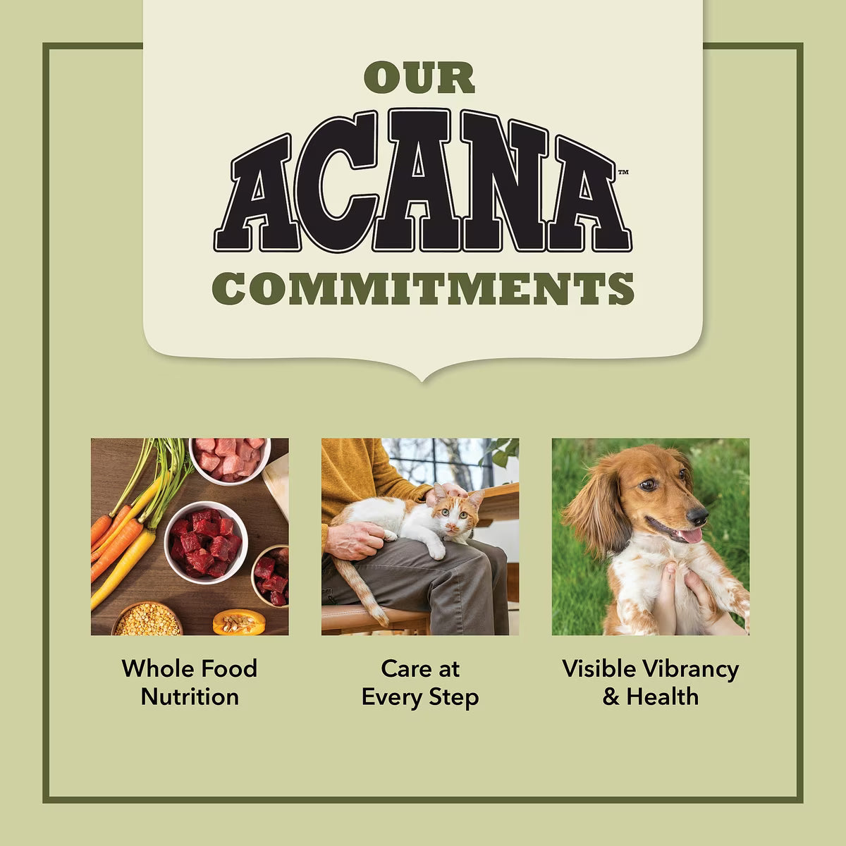 Acana Senior Entree Chicken & Turkey Dry Cat Food 10lb