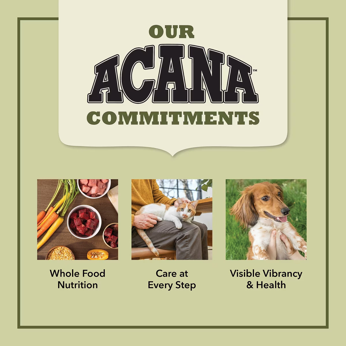 ACANA Singles Limited Ingredient Beef & Pumpkin Grain-Free High-Protein Dry Dog Food 13.2LB