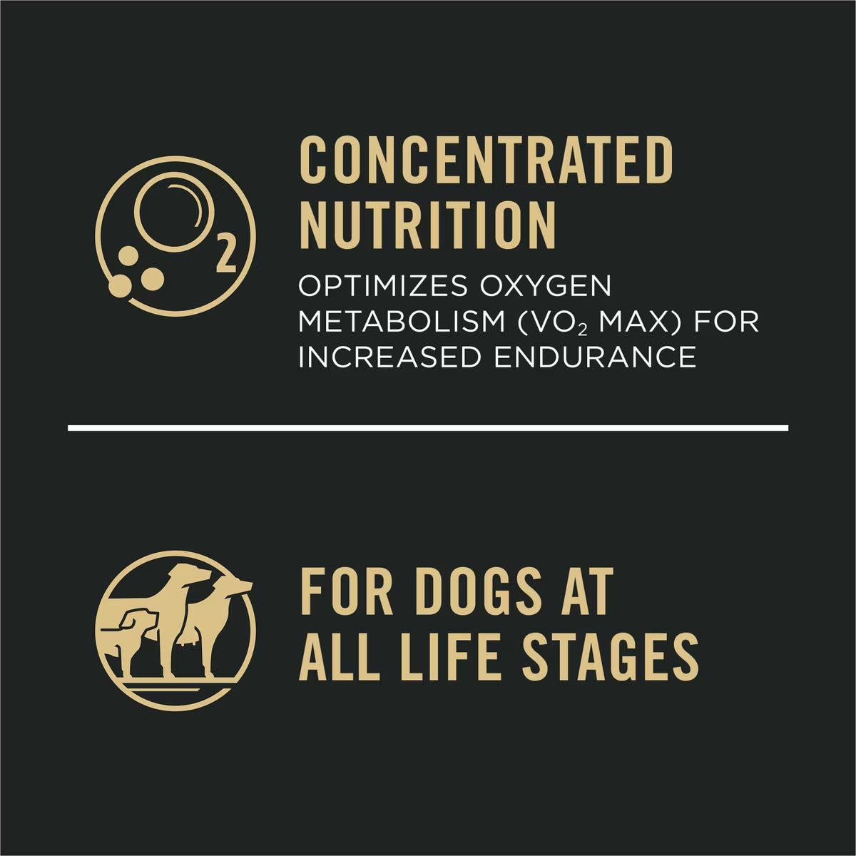 Purina Pro Plan Sport Performance All Life Stages High-Protein 30/20 Chicken & Rice Formula Dry Dog Food 37.5 LB