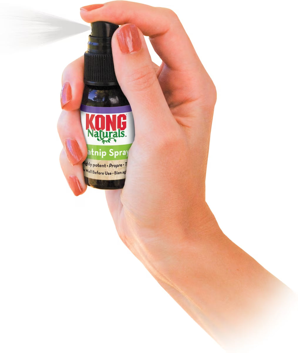 KONG Naturals Premium Catnip Spray 10oz