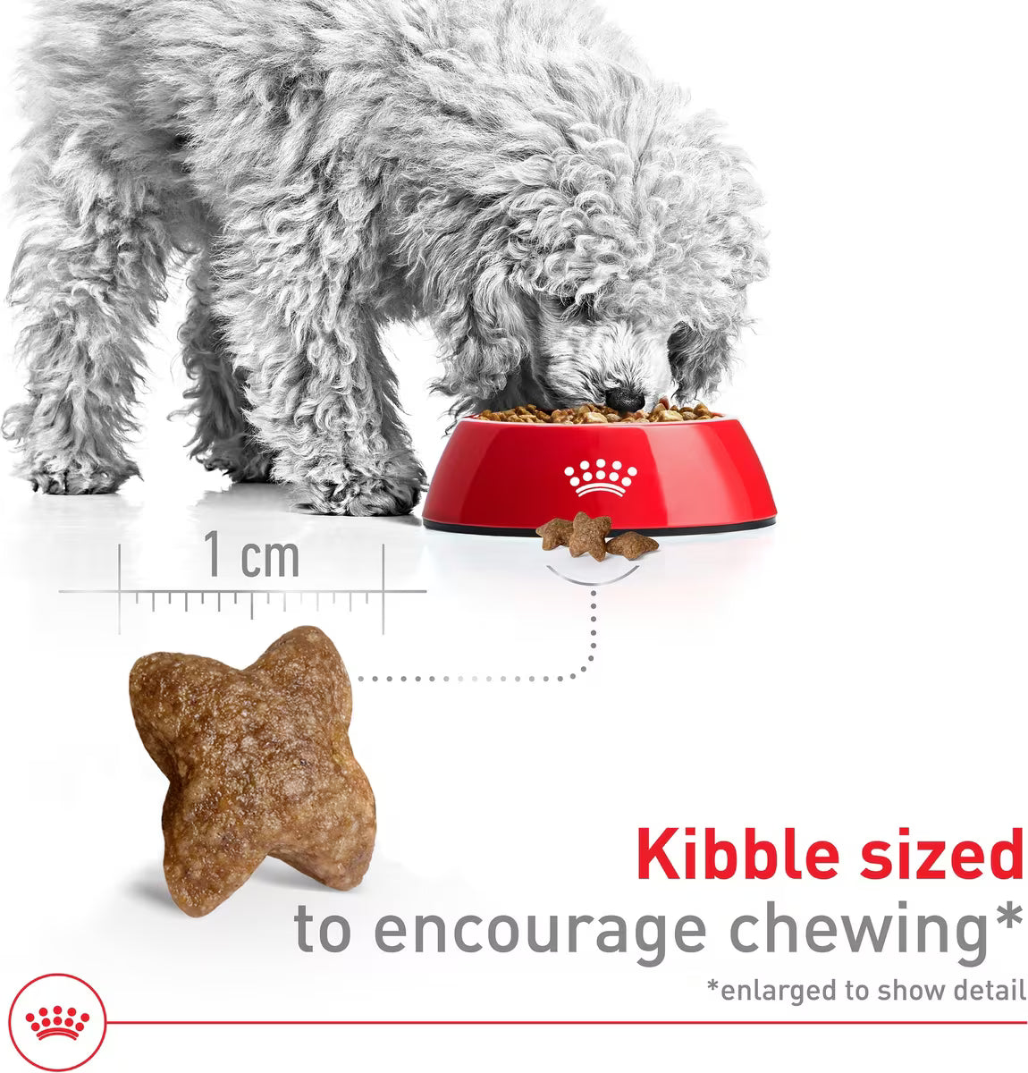 Royal Canin Small Breed Adult Dry Dog Food 4lb