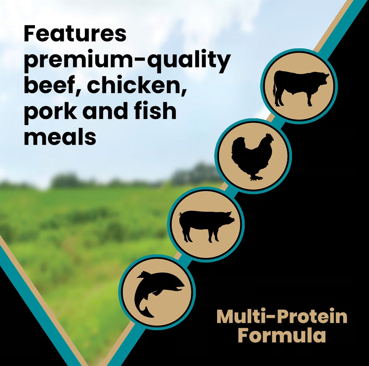 VICTOR Hi-Pro Plus 30/20 Active Sporting High Protein Gluten-Free Dry Dog Food 40lb
