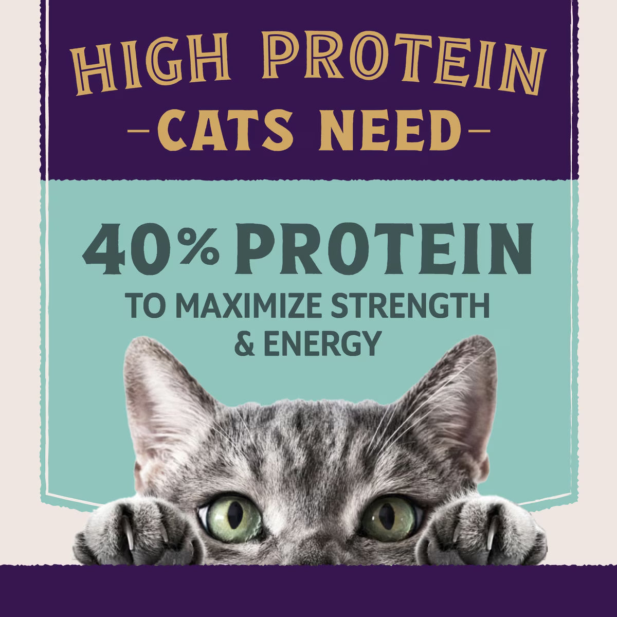 NBP UltraProtein healthCat 2.5