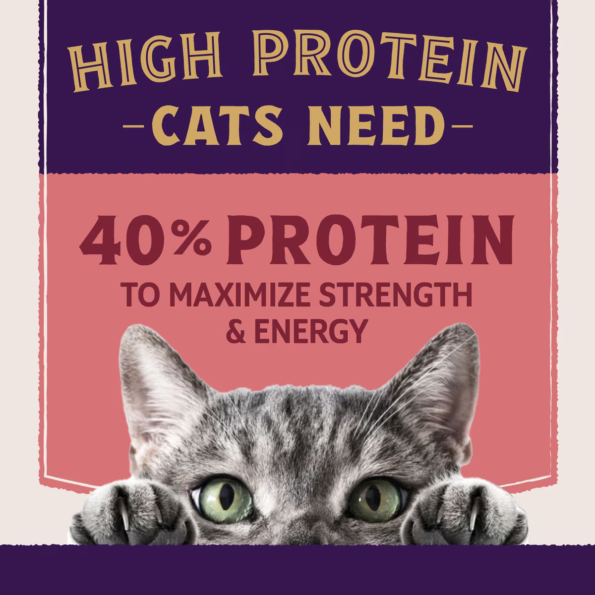 NBP UltraProtein S coatCat 2.5