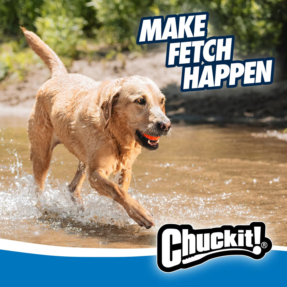 Chuckit! Ultra Rubber Ball Tough Dog Toy XL