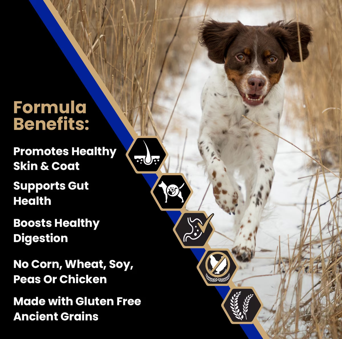 VICTOR Sensitive Skin & Stomach Beef Meal & Brown Rice Recipe Dry Dog Food 5LB