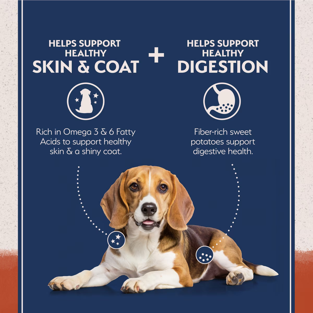 Natural Balance Grain-Free Salmon & Sweet Potato Recipe Dry Dog Food 12lb