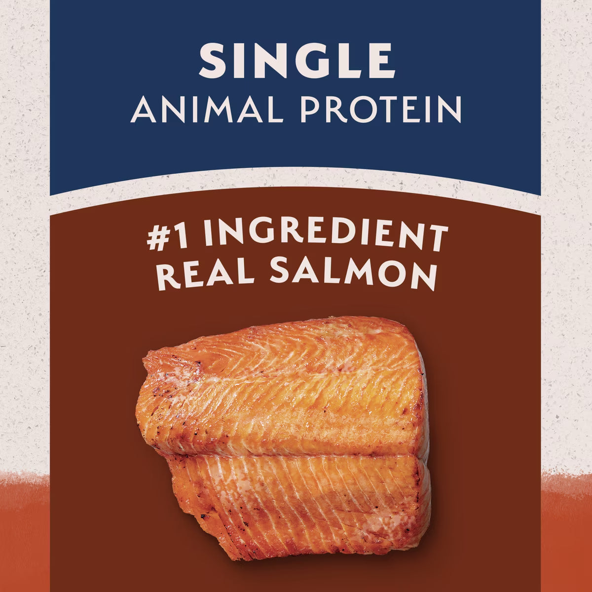 Natural Balance Grain-Free Salmon & Sweet Potato Recipe Dry Dog Food 12lb