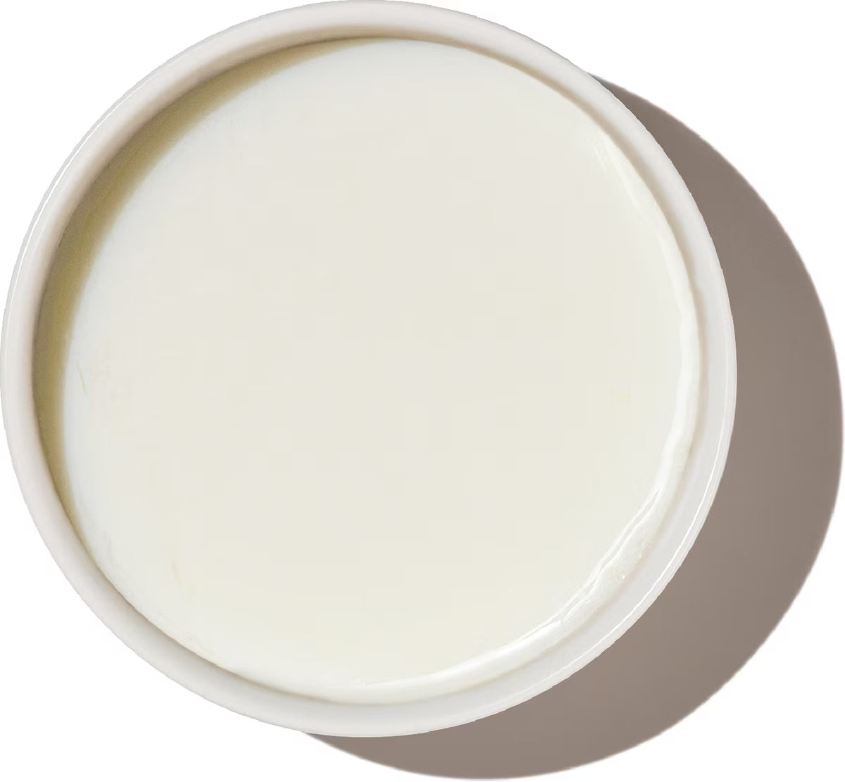 The Honest Kitchen Human Grade Daily Boosters Instant Goat's Milk with Probiotics for Dogs & Cats 5.2-oz