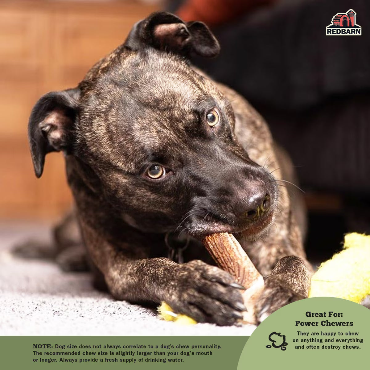 RBP TREAT ANTLER SOLID XL