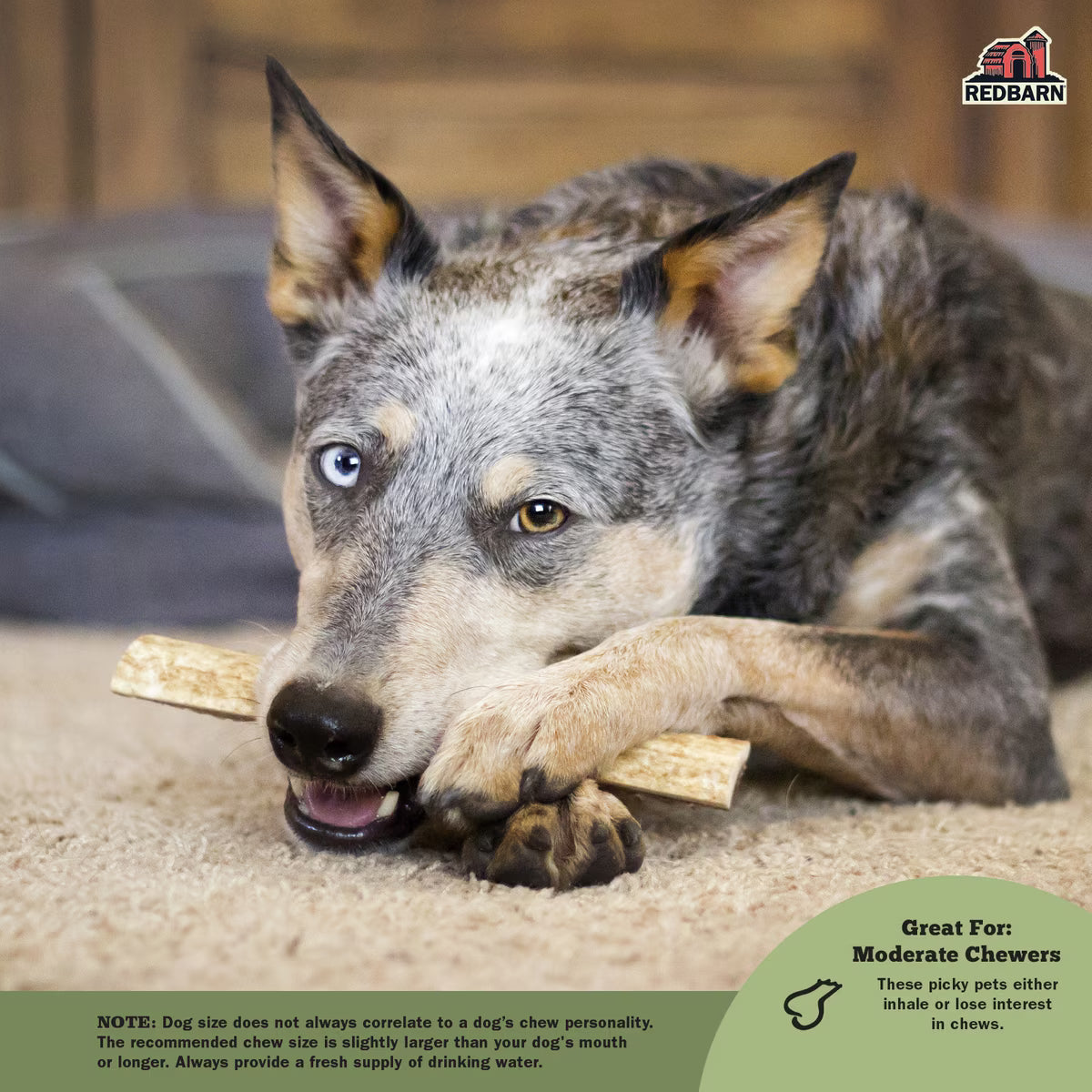 RBP TREAT ANTLER SOLID LG
