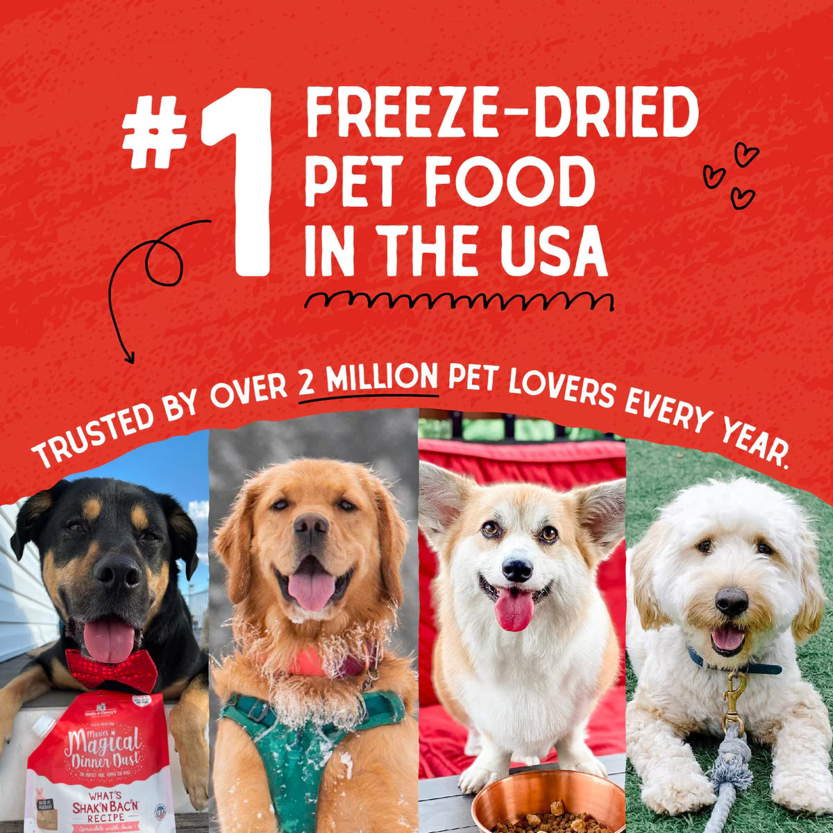 Stella & Chewy's Raw Coated Cage-Free Chicken Recipe Puppy Grain-Free Dry Dog Food 10lb