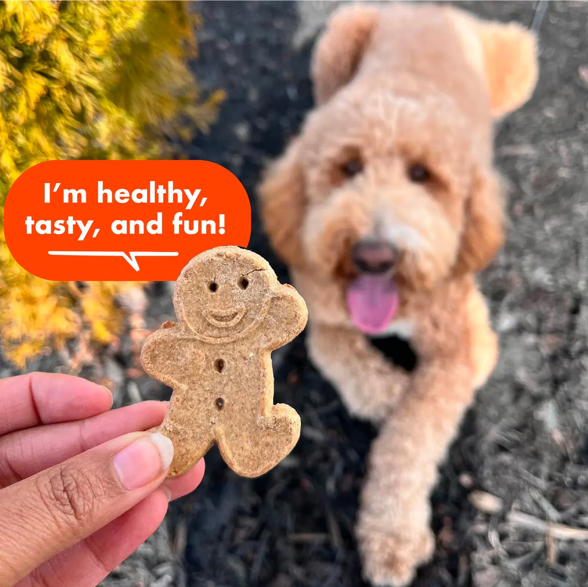 Buddy Biscuits with Peanut Butter Oven Baked Dog Biscuits 16oz