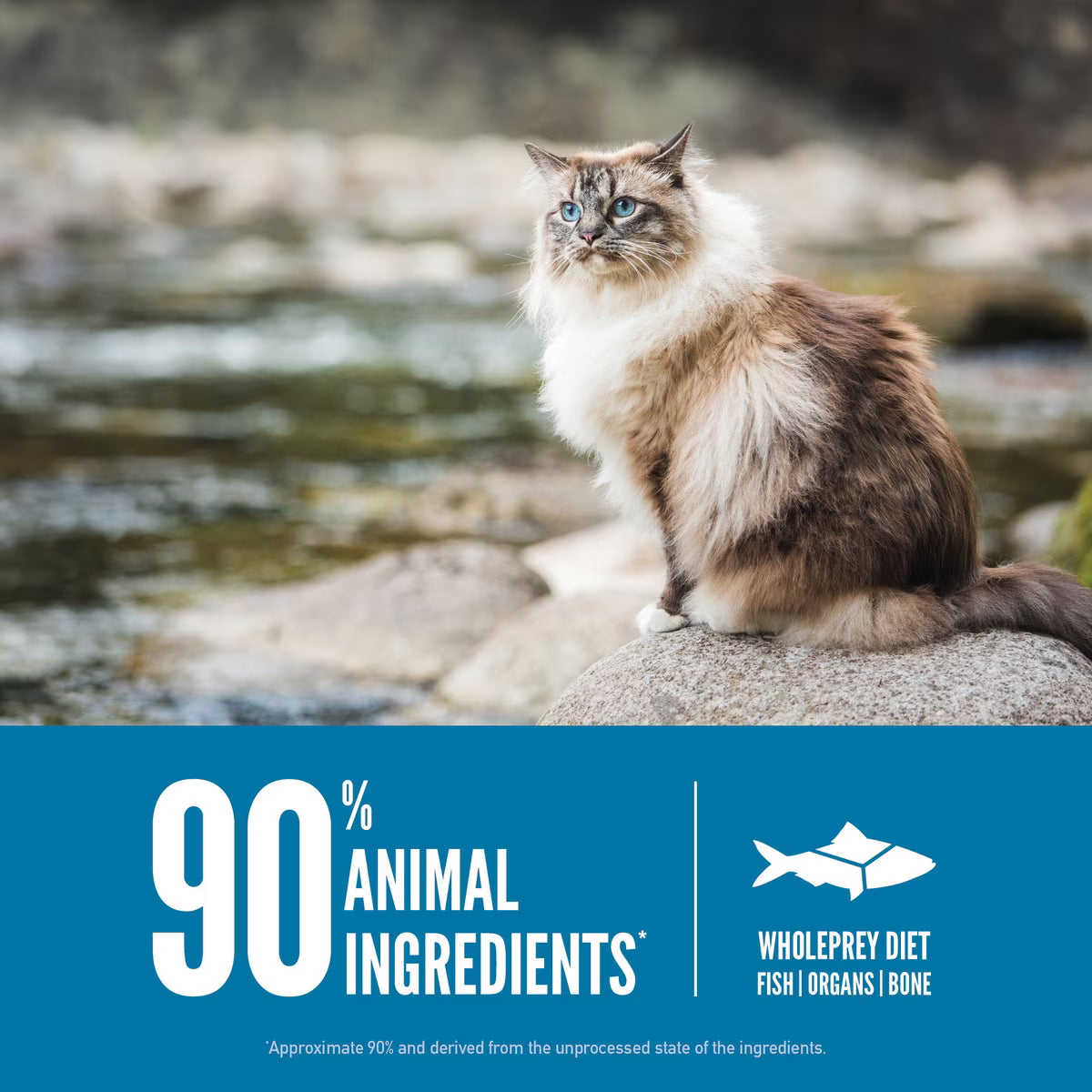 Orijen Six Fish Grain-Free Dry Cat Food 7lb