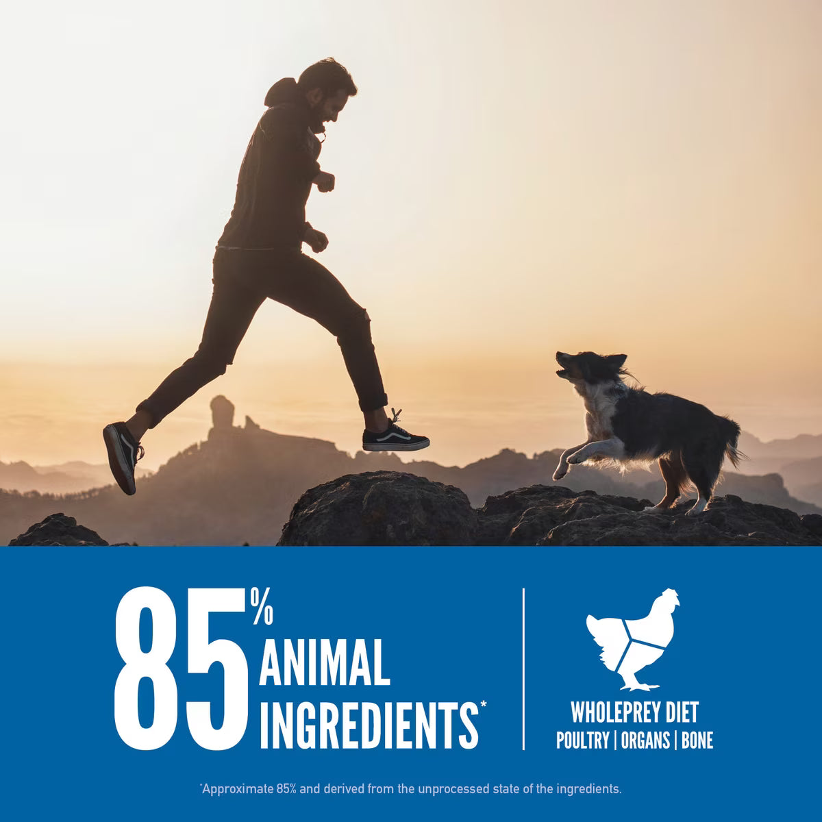 Orijen Original Grain-Free Dry Dog Food 4.5lb