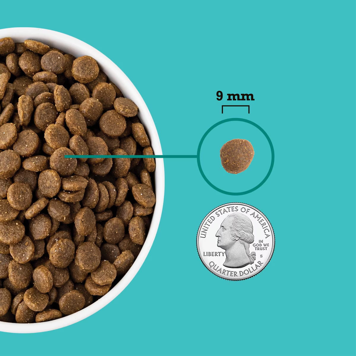 ACANA Wholesome Grains Puppy Sea & Farm Dry Dog Food 22.5lb