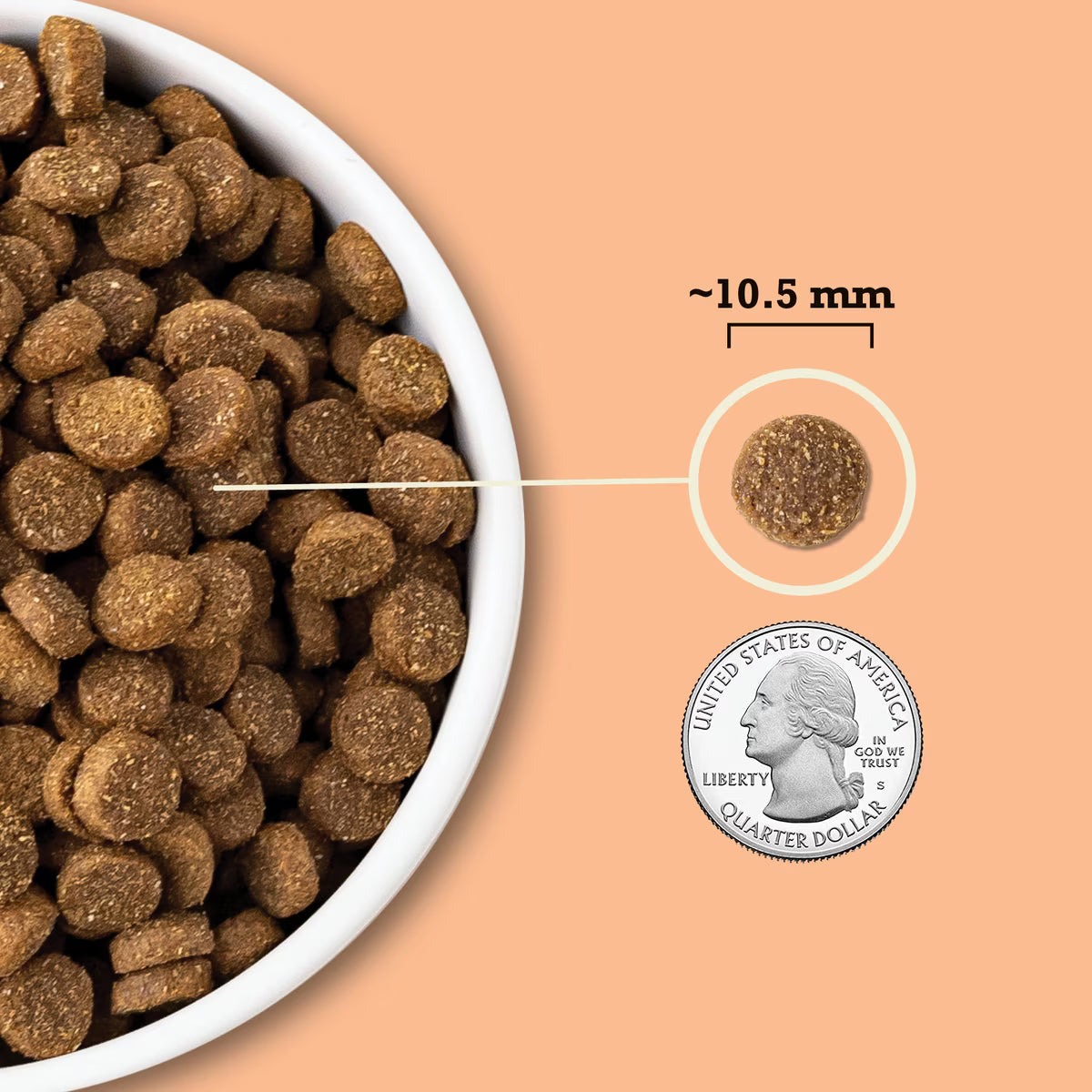 ACANA Wholesome Grains Puppy Real Chicken Eggs &Turkey Dry Dog Food 4lb