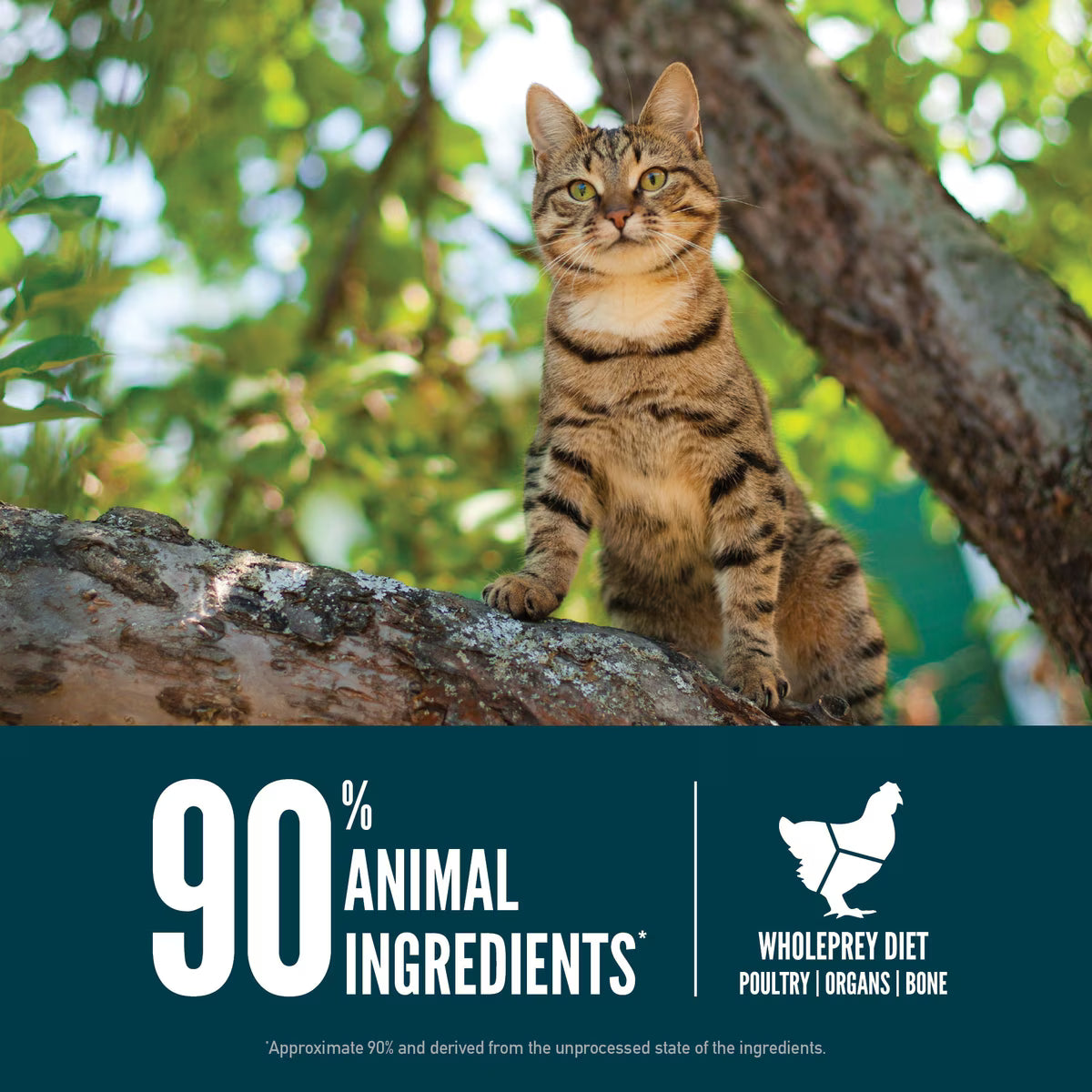ORIGEN Cat Guardian 8 10lbs