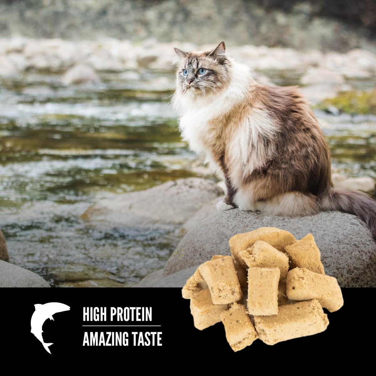 Orijen Six Fish Grain-Free Freeze Dried Cat Treats 1.25oz