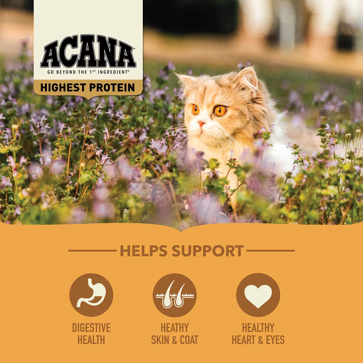 ACANA MEADOWLAND CAT 4LB