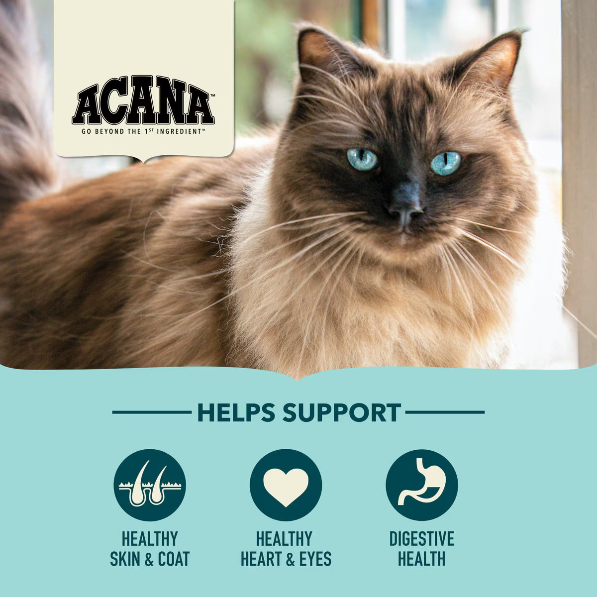 Acana Bountiful Catch Salmon, Catfish & Herring Dry Cat Food 4lb