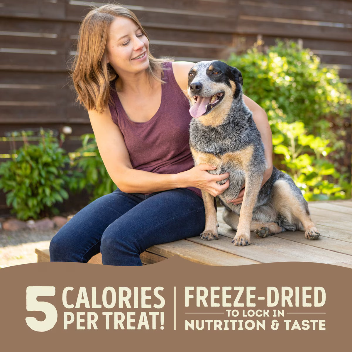 ACANA Singles Duck & Pear Grain-Free Freeze-Dried Dog Treats 3.25oz
