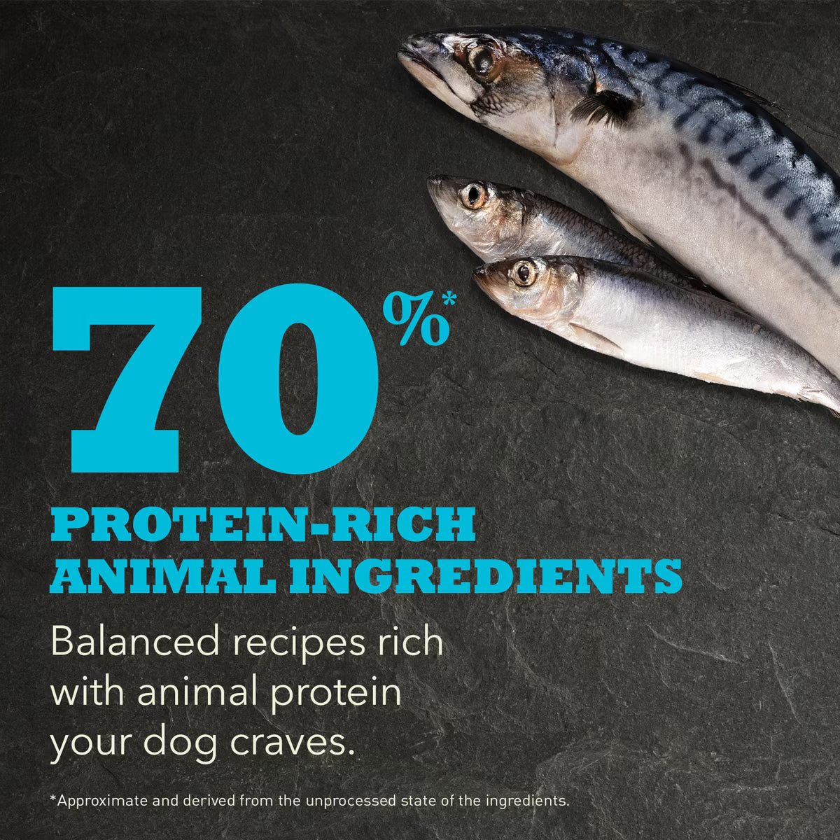 ACANA Wild Atlantic Highest Protein Grain-Free Dry Dog Food 4.5LB