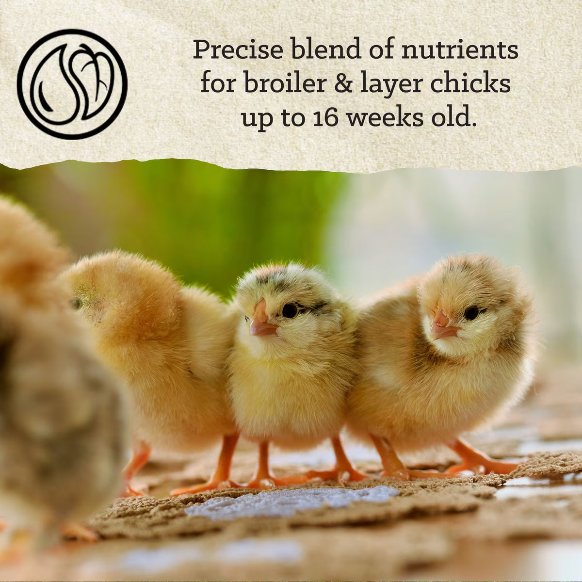 Nutrena Nature Smart Organic 20% Chick Starter-Grower Crumble 35lb