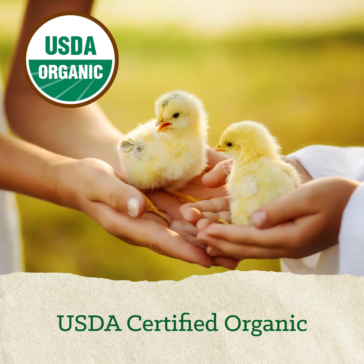 Nutrena Nature Smart Organic 20% Chick Starter-Grower Crumble 35lb