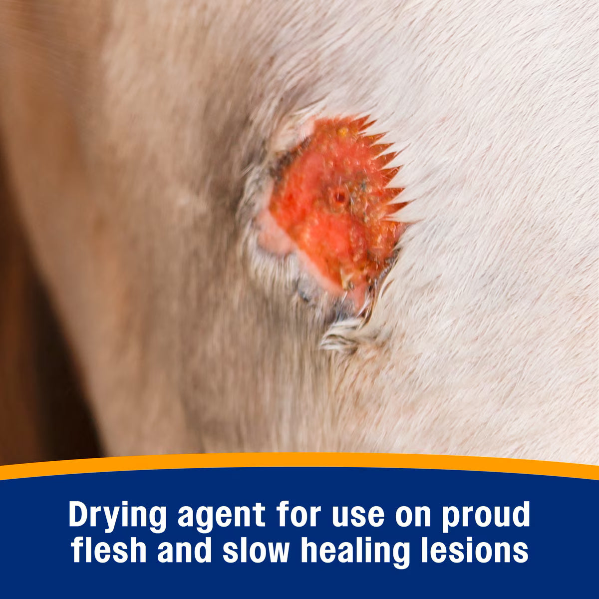 Farnam Wonder Dust Dog & Horse Wound Care Powder 4oz