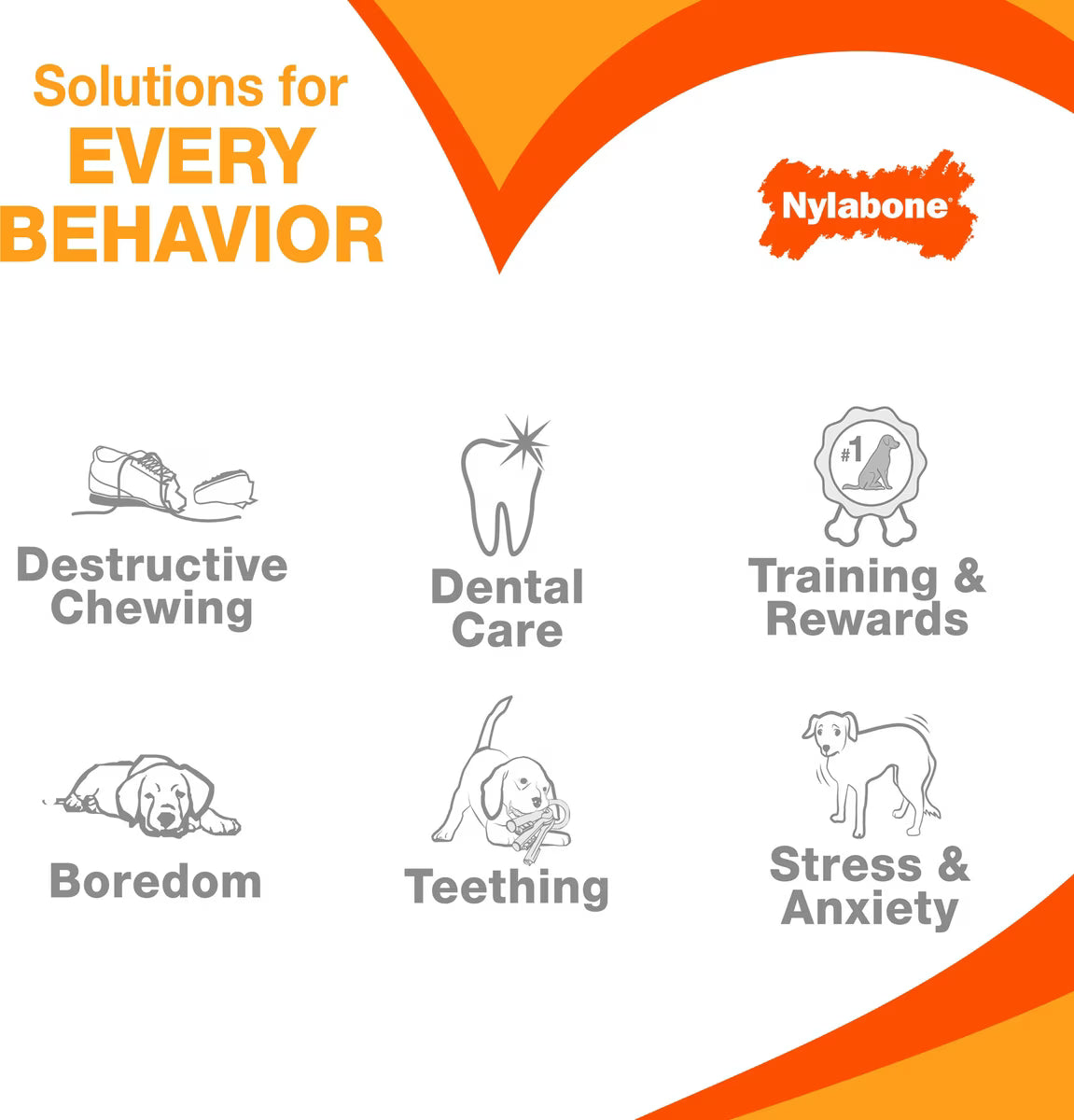Nylabone Power Dog Chew Chicken Flavored Souper