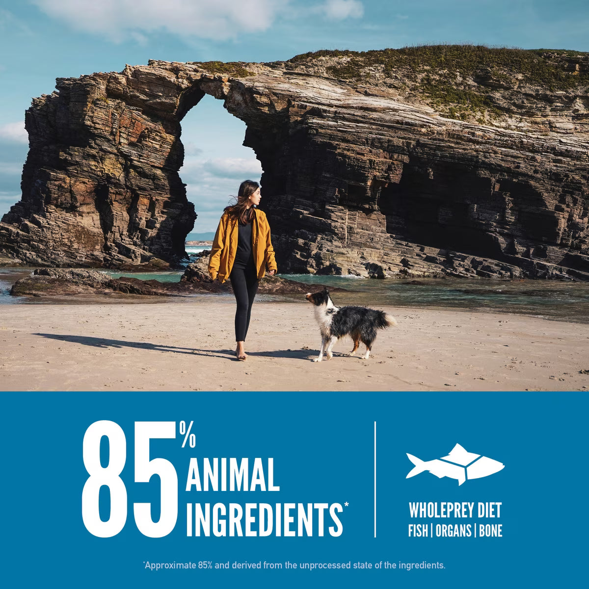 Orijen Six Fish Grain-Free Dry Dog Food 13lb