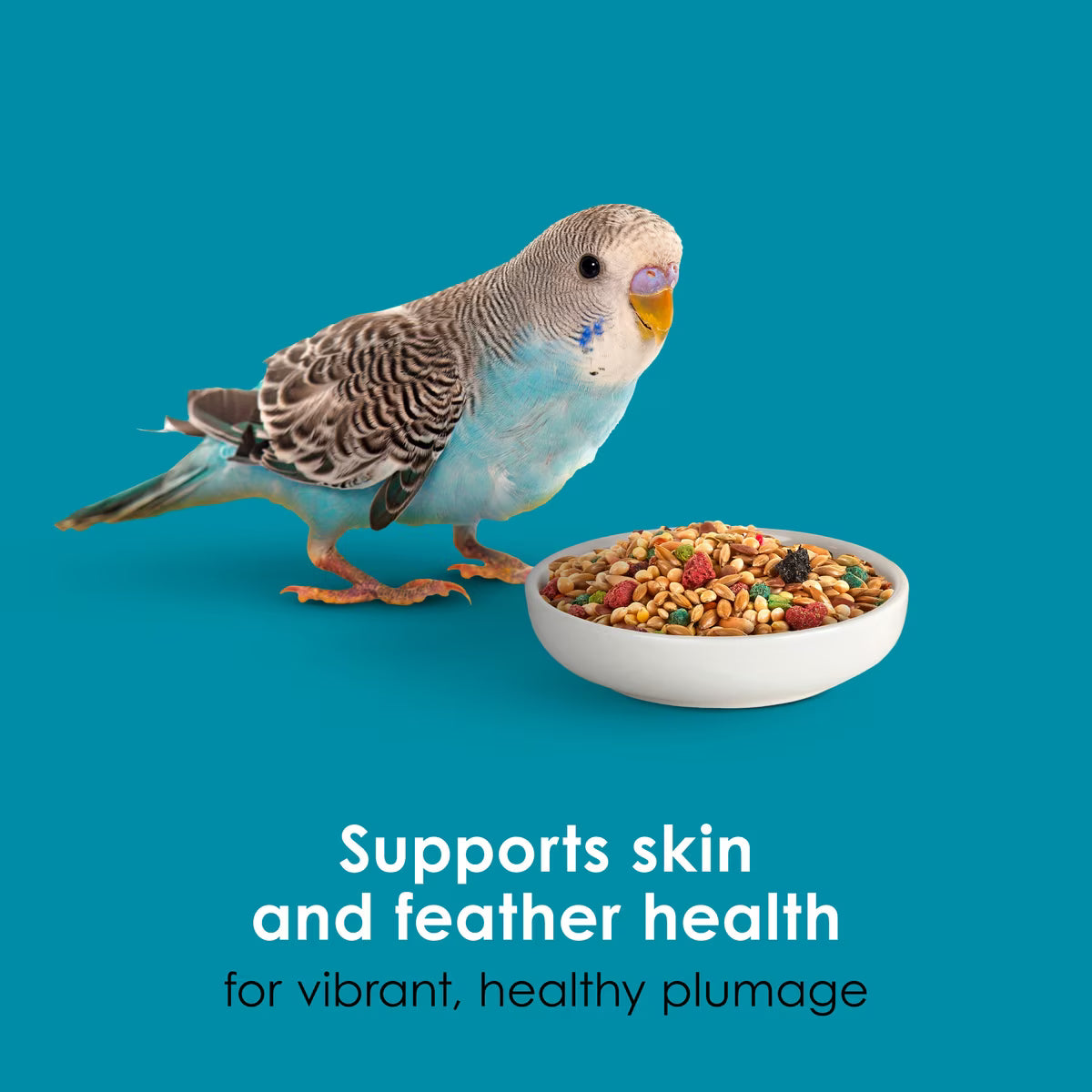 Kaytee Forti-Diet Pro Health Parakeet Food 2lb