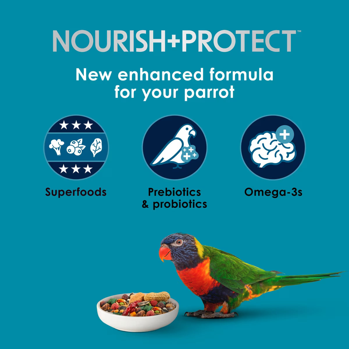 Kaytee Forti-Diet Nourish+Protect Parrot Food 8lb