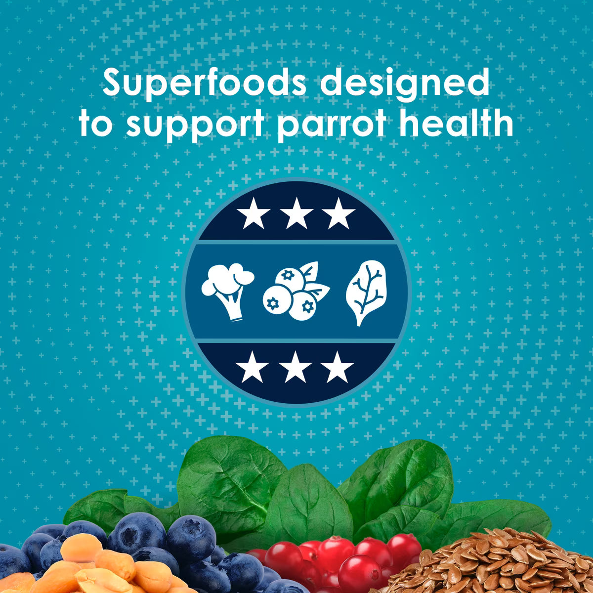 Kaytee Forti-Diet Nourish+Protect Parrot Food 8lb
