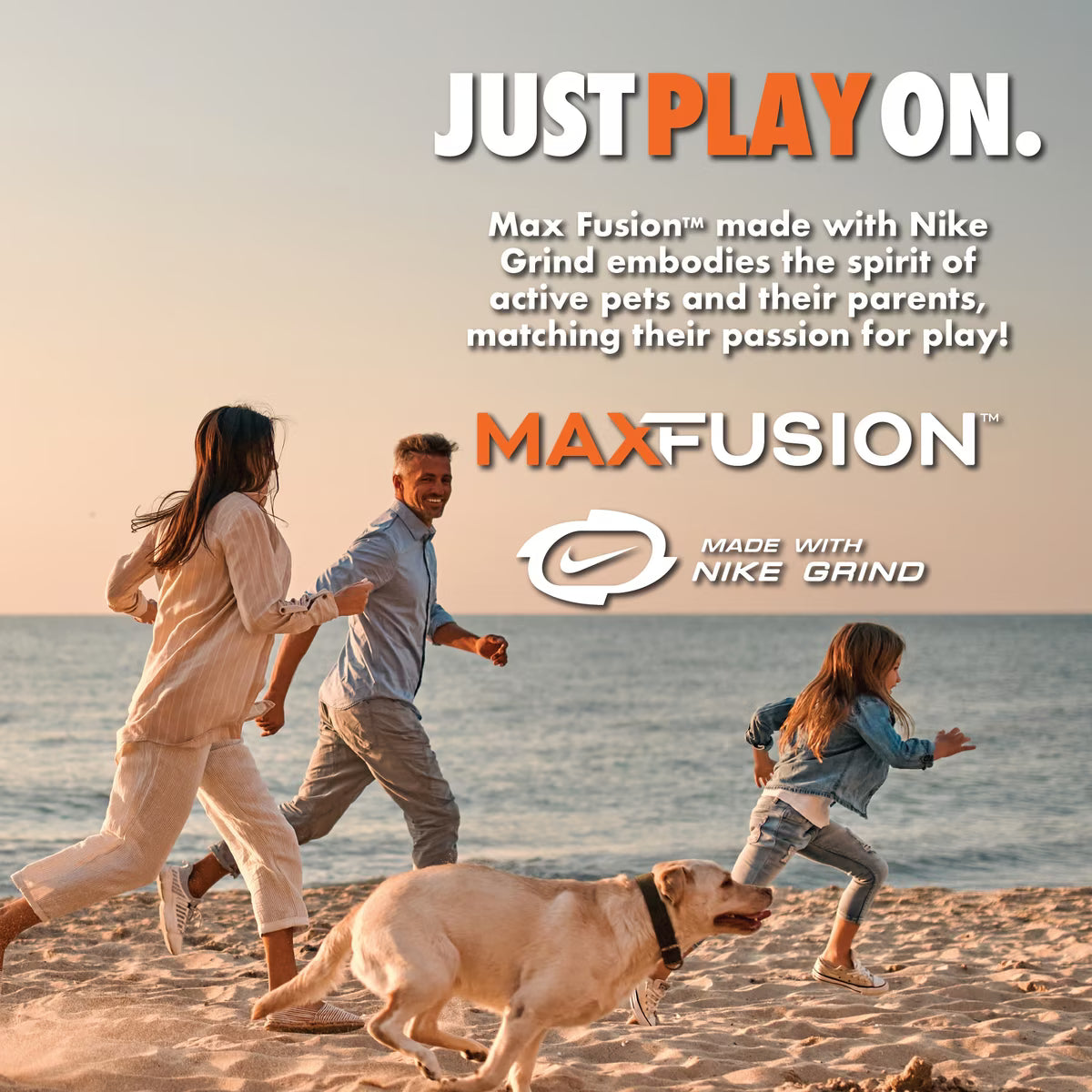 Arlee Home & Pet Max Fusion Made with Nike Grind Spiro Football Squeaky Dog Chew Toy