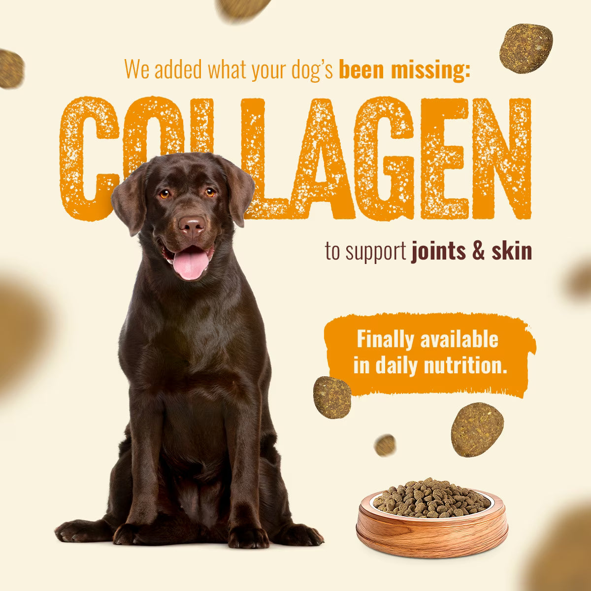Natural Farm Fresh Chicken Recipe with Collagen Dry Dog Food, 22.5-lb bag