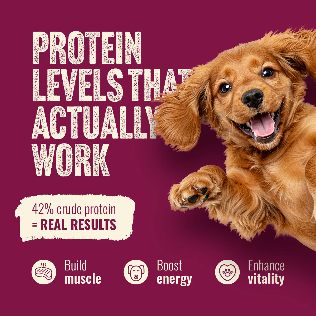 Natural Farm Fresh Beef Recipe with Collagen Dry Dog Food, 22.5-lb bag