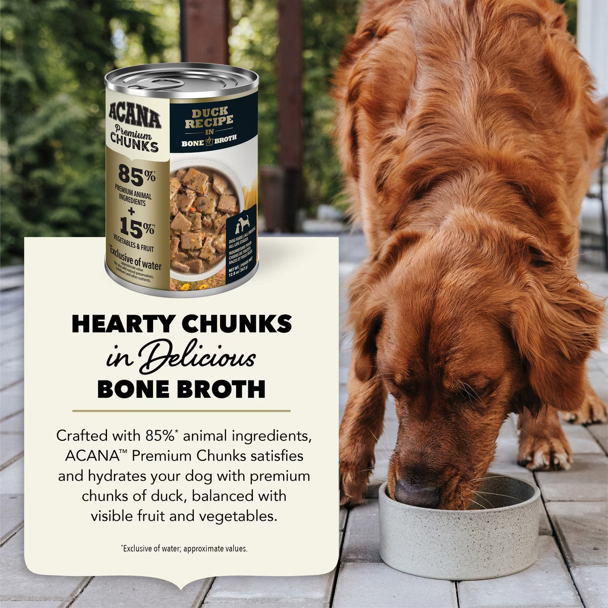 ACANA Premium Chunks Duck in Bone Broth Grain-Free Wet Dog Food 12.8OZ